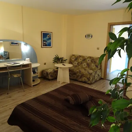 Otel Color 3*