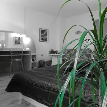 Color Hotel 3*