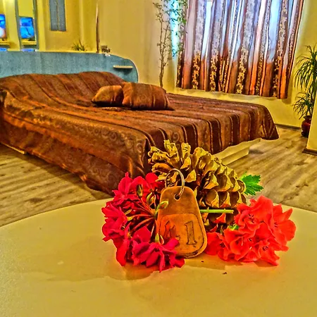 Color 3*