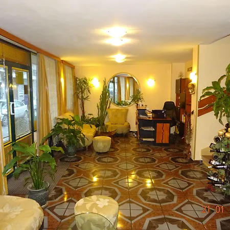 Hotel Color 3*
